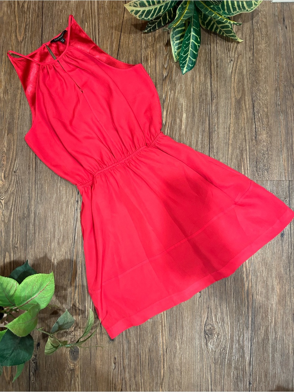 Express (M) Fully Lined Dress